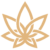 3Chi